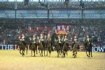 Cavalry - 00283
